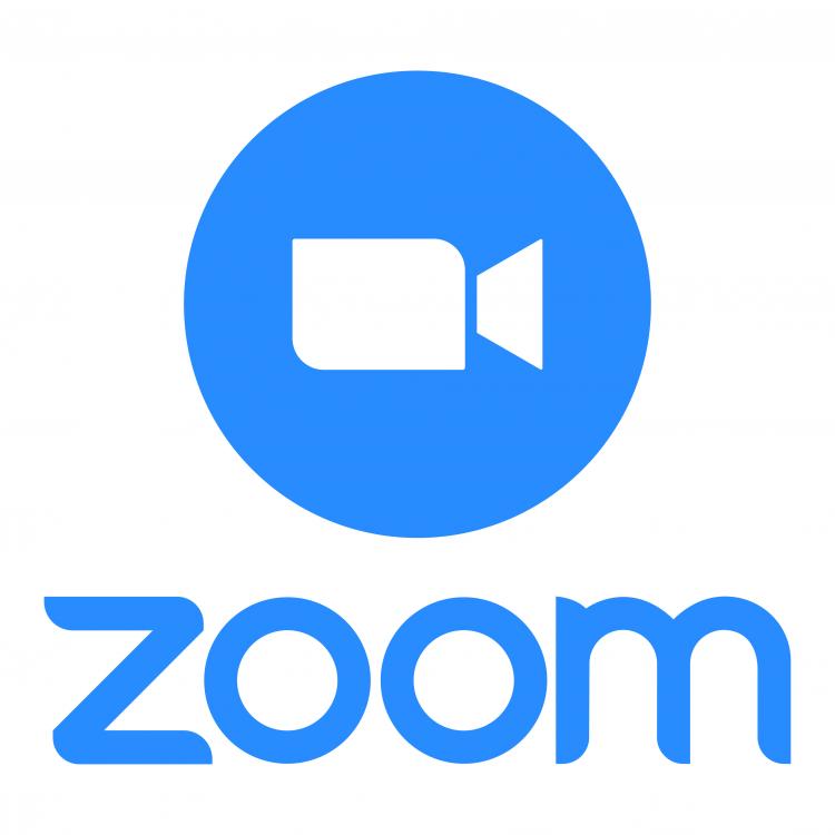  Zoom Logo